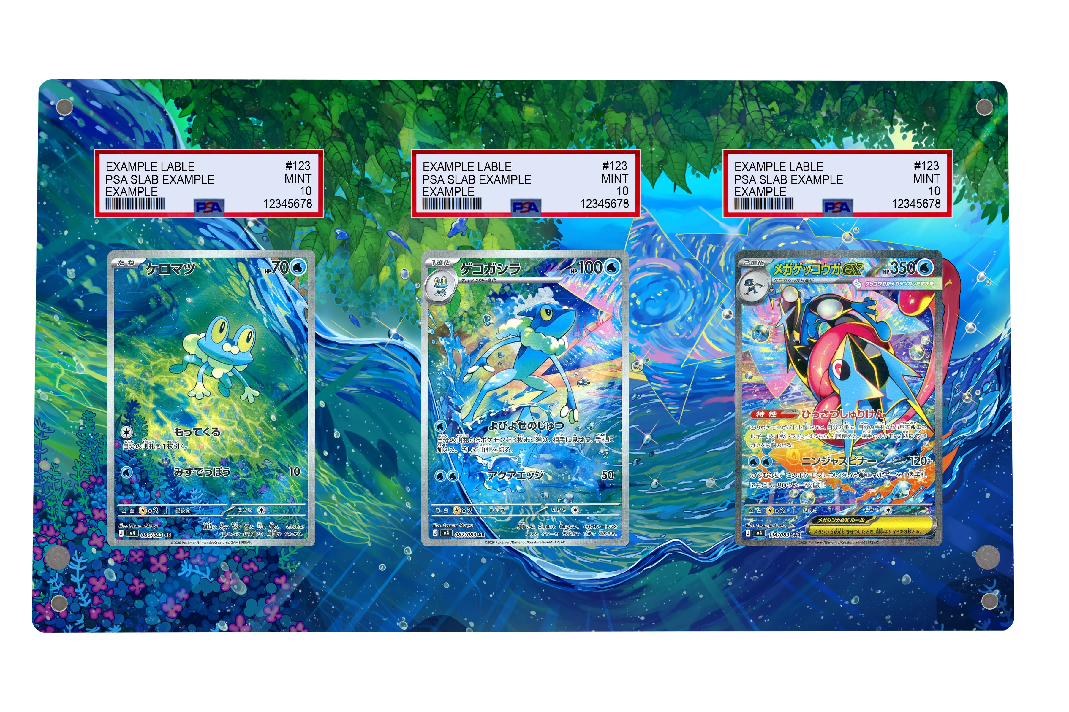 Froakie Frogadier Greninja | TRIPLE Graded Case