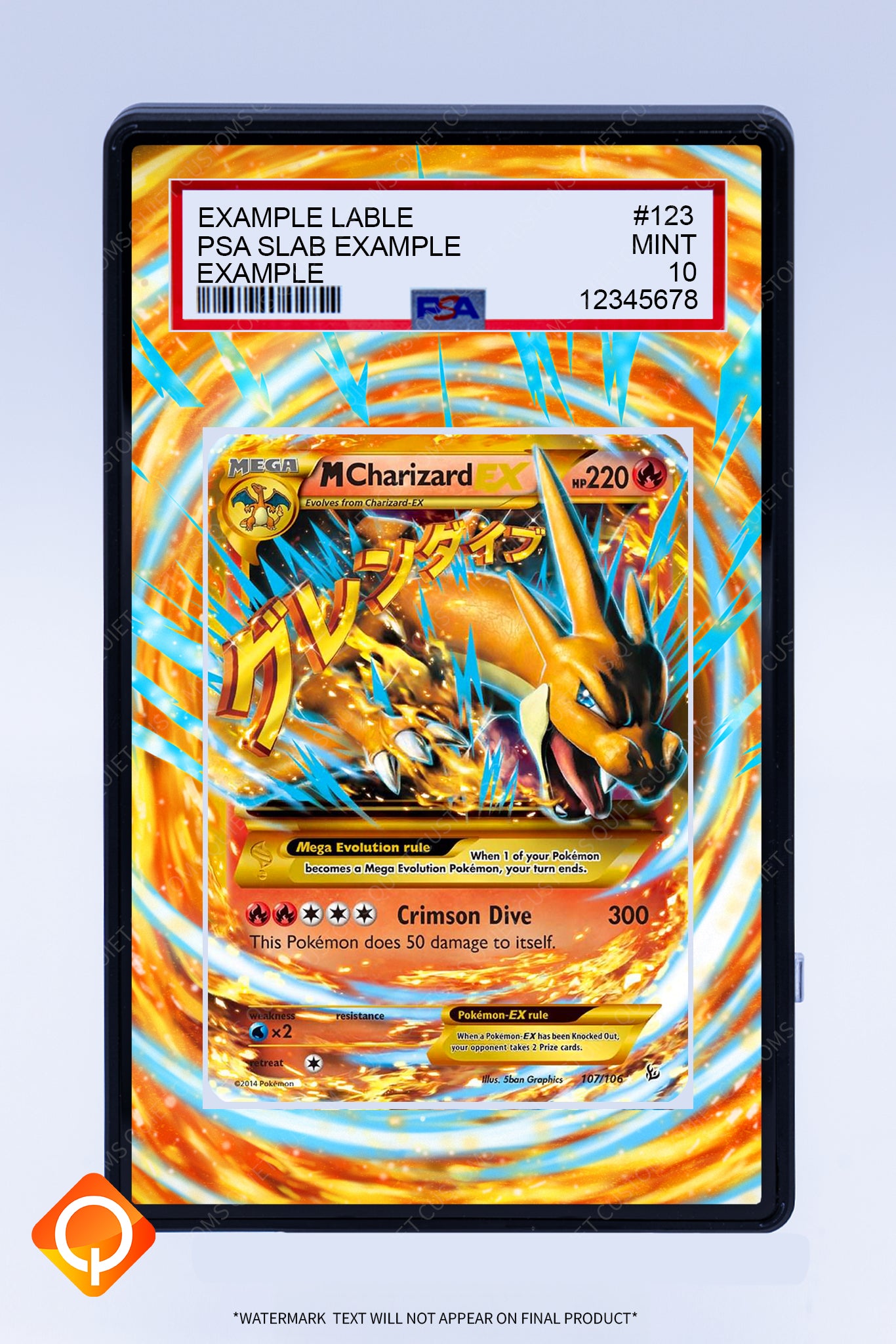 Charizard (M) EX 107 106 (Graded) Case