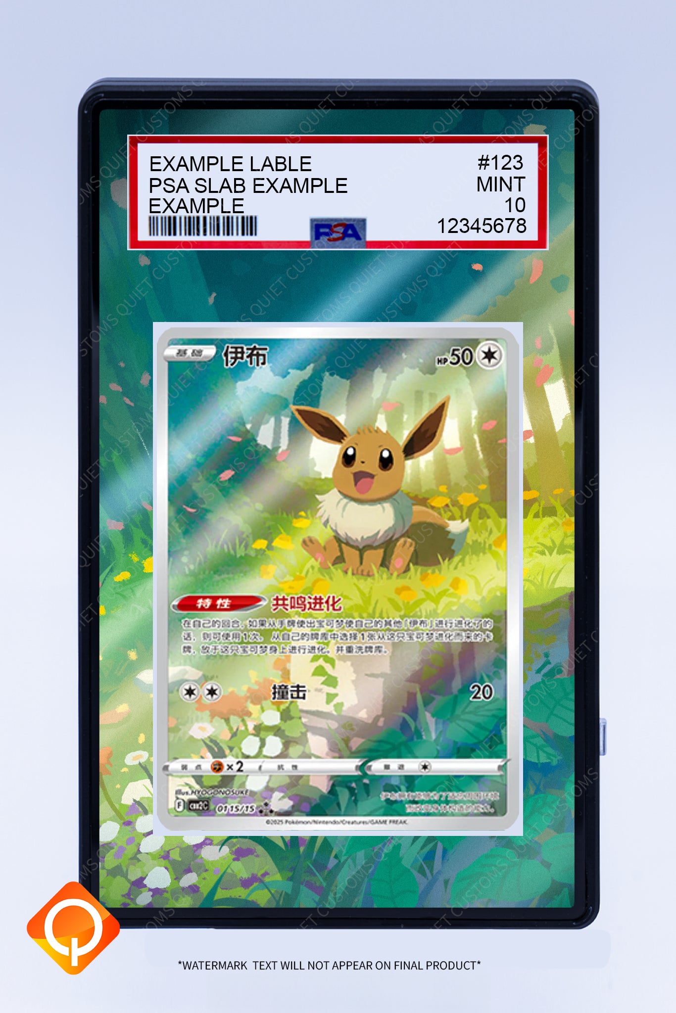 Eevee 0115 15 (Graded) Case Eevee 0115 15 (Graded) Case