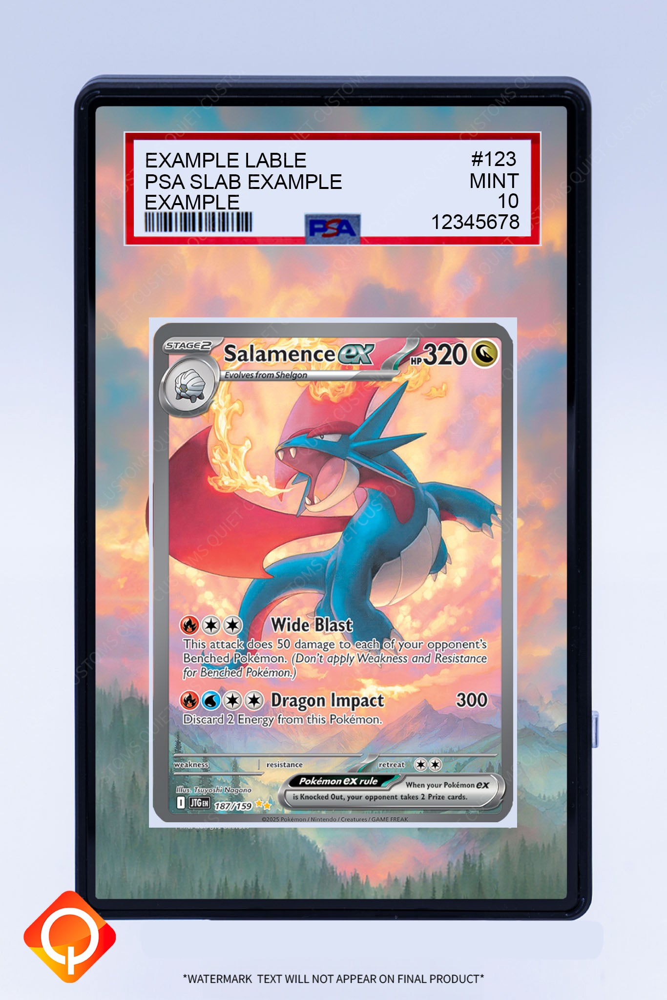 Salamence EX 187 159 (Graded) Case