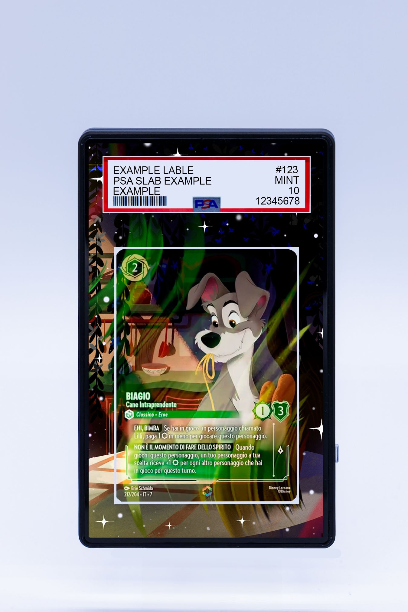 Biagio 212 204 (Graded) Case