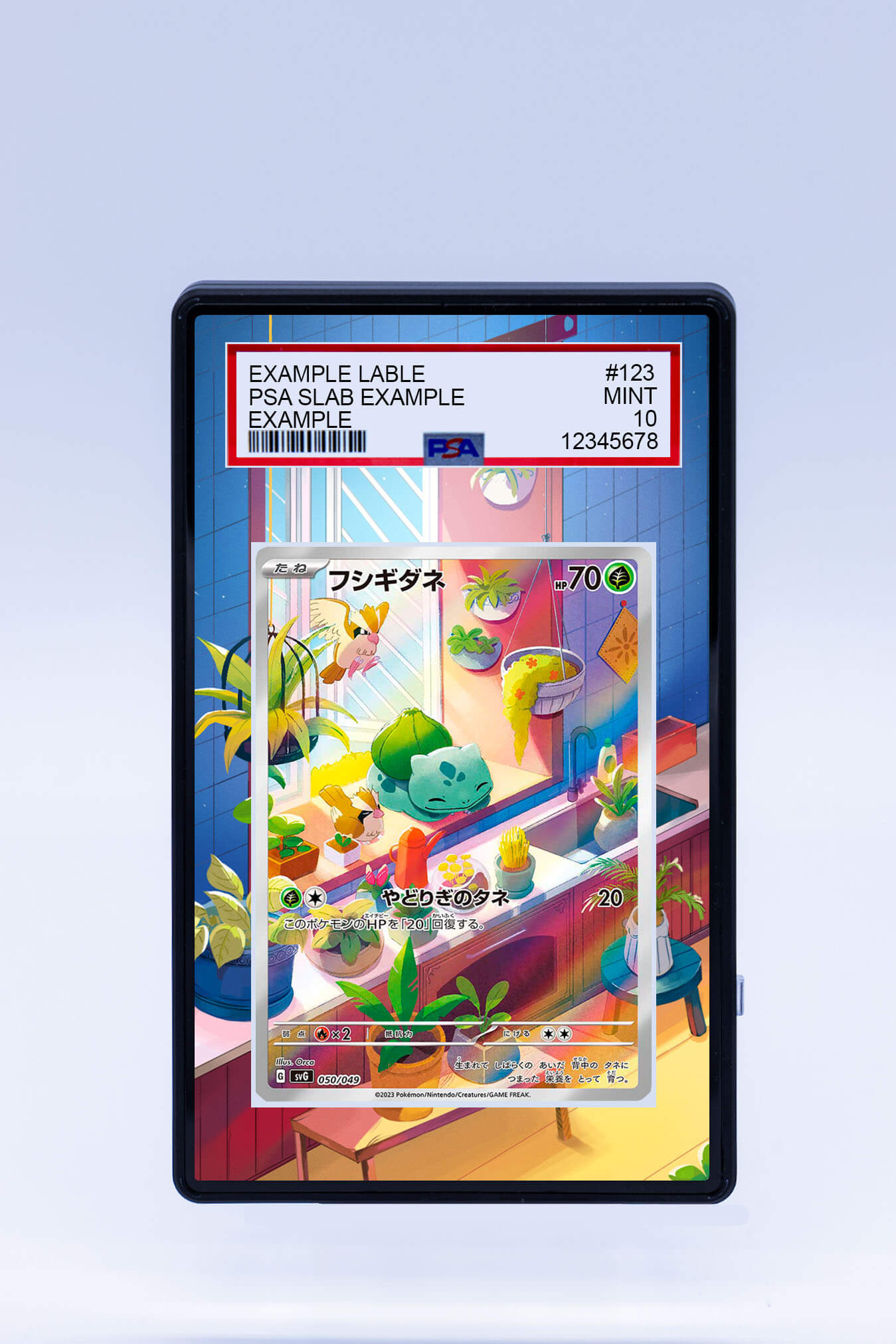 bulbasaur graded card Bulbasaur 143 142 (Graded) Case