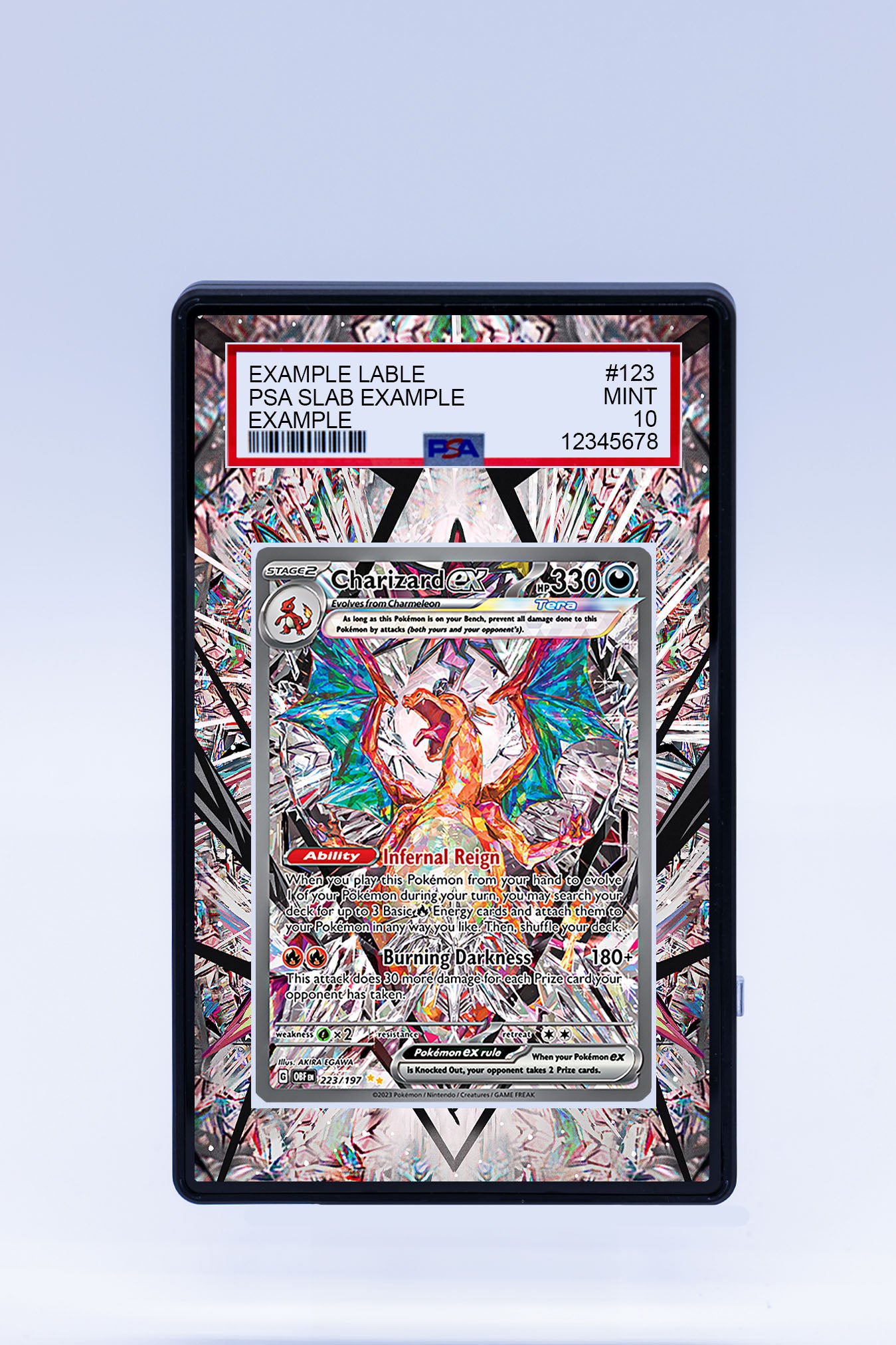 Charizard EX 223 197 Graded Case Charizard ex 223 197 graded case