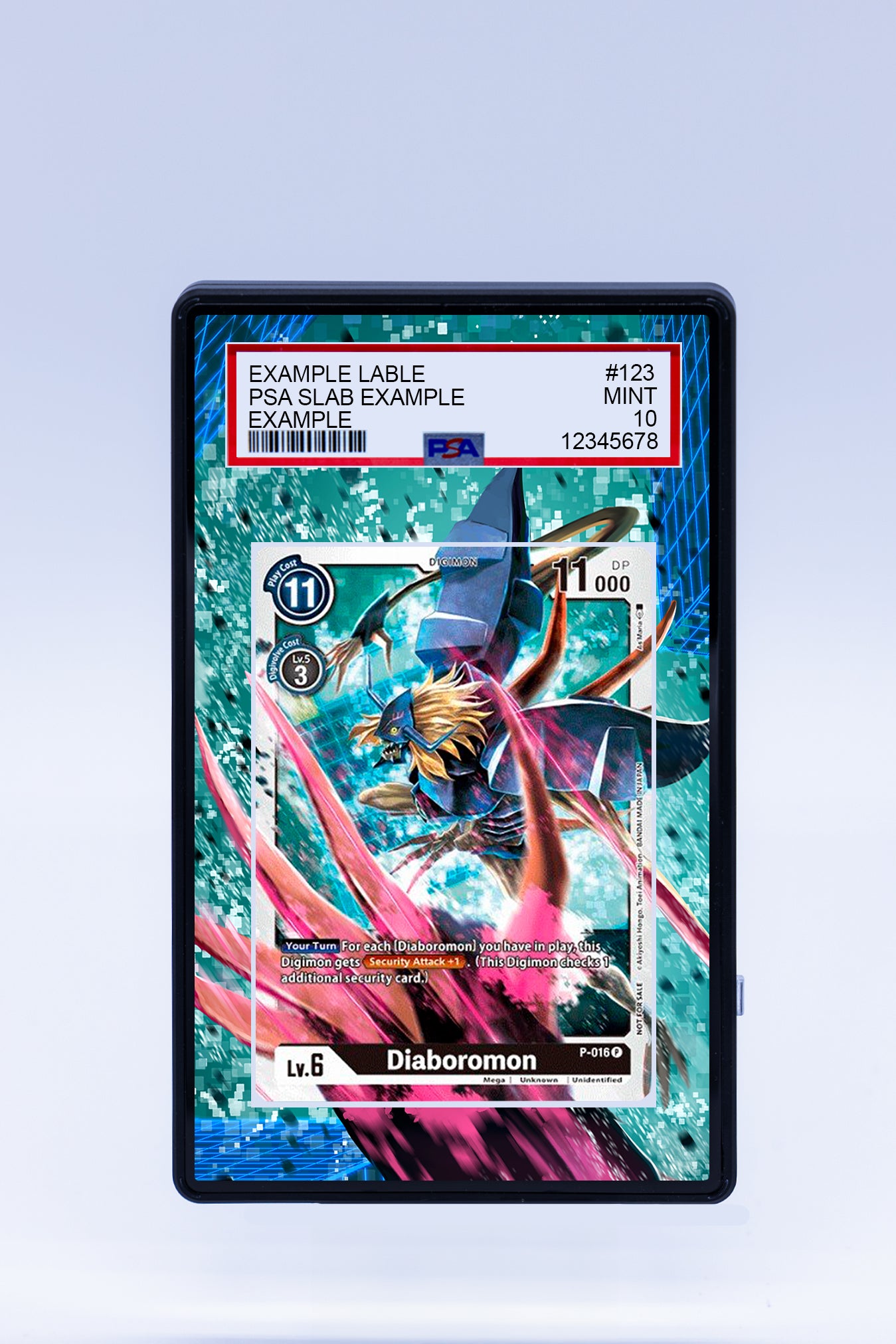 DIABOROMON P-016 (Graded) Case DIABOROMON P-016 (Graded) Case