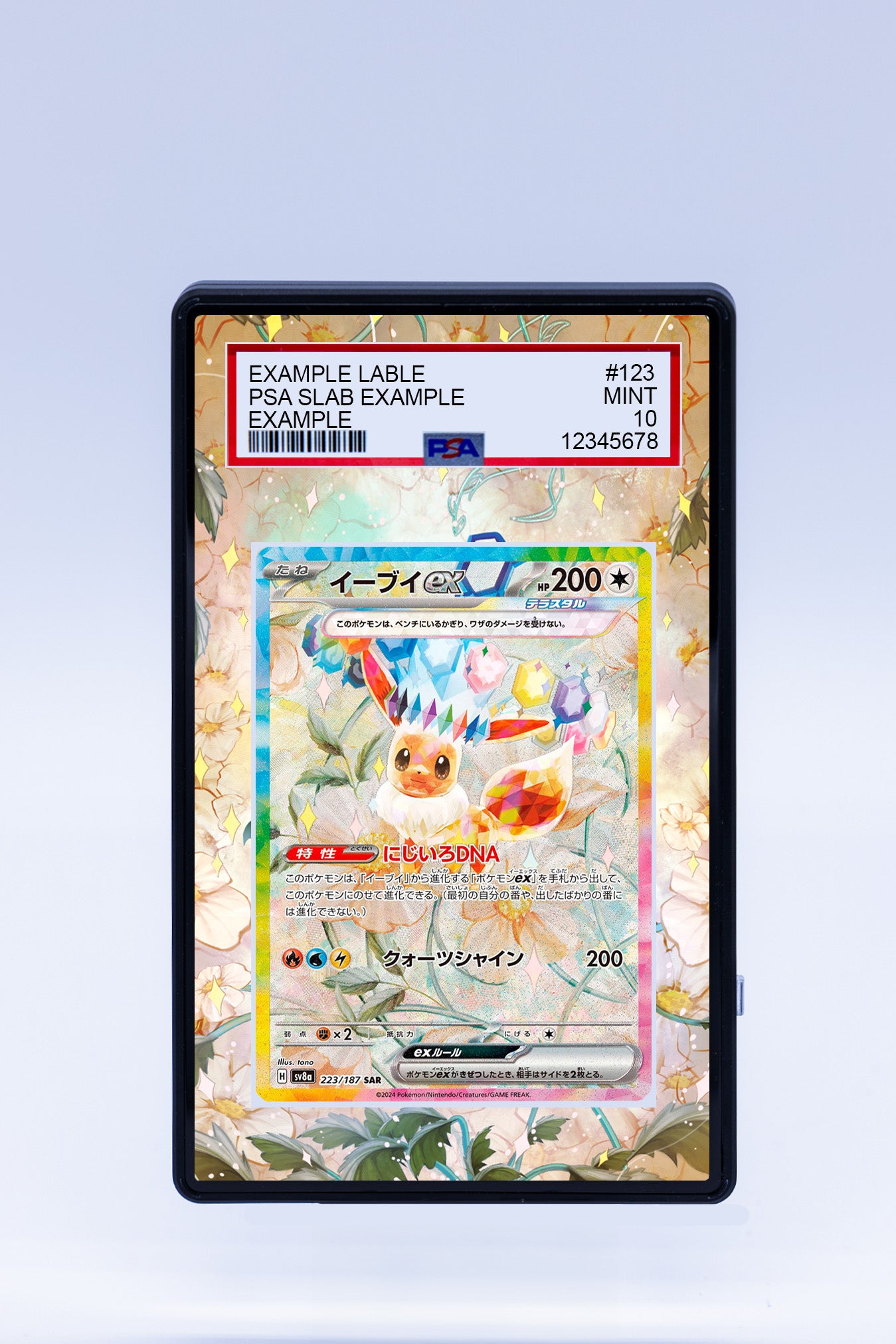 Eevee EX 167 131 (Graded) Case Eevee EX 167 131 (Graded) Case
