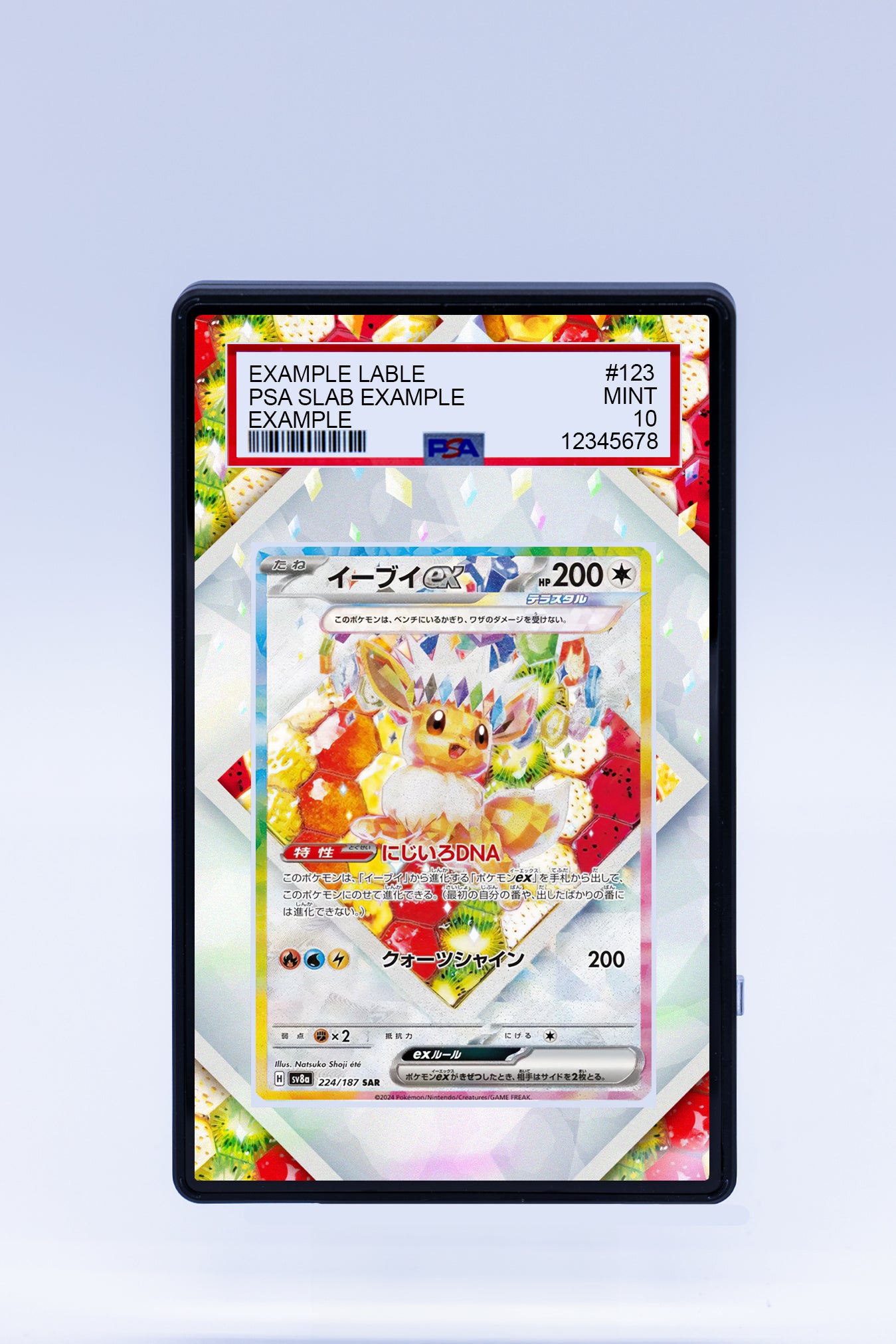 Eevee EX 174 Promo (Graded) Case