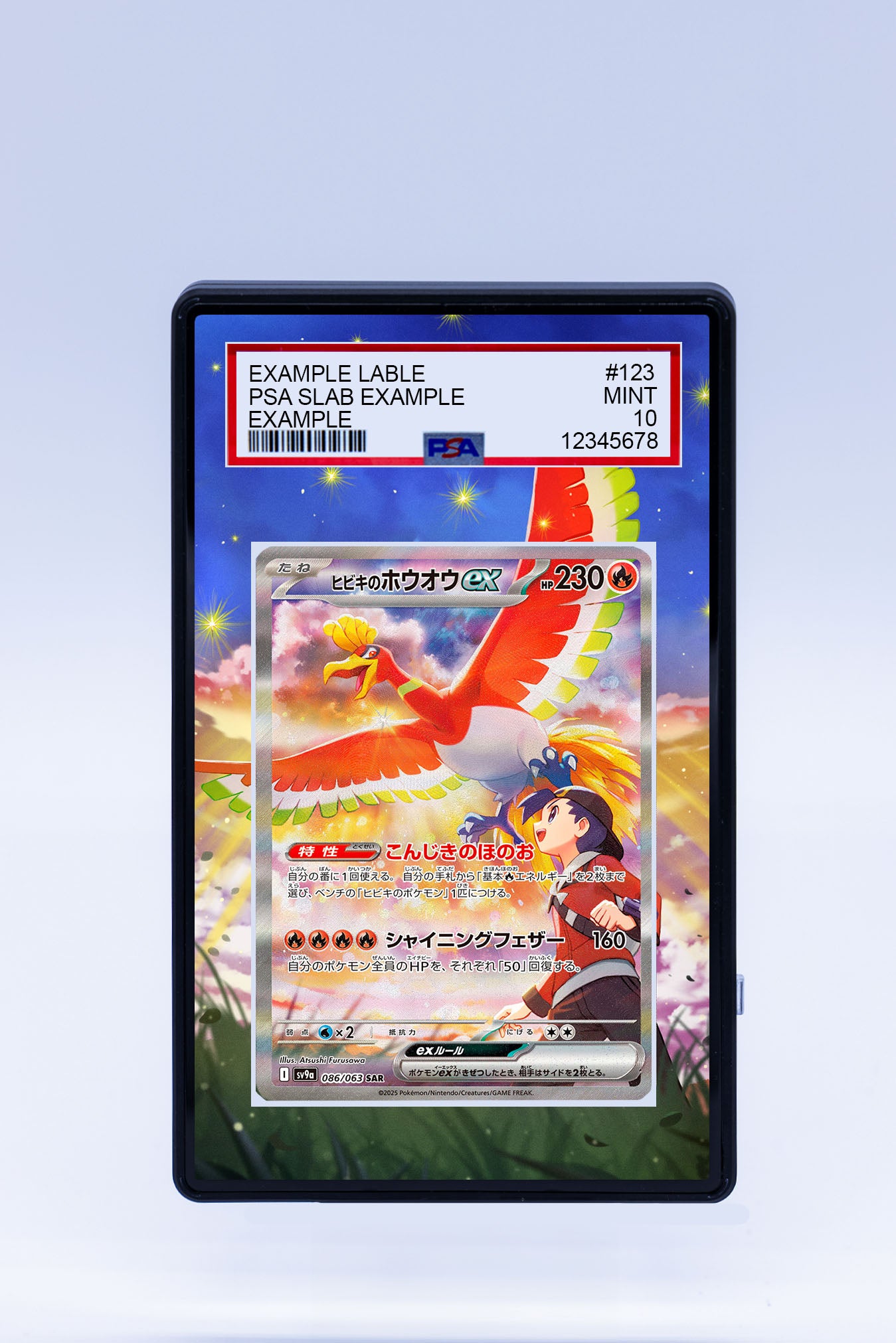 Ethan's Ho-Oh (Graded) Case