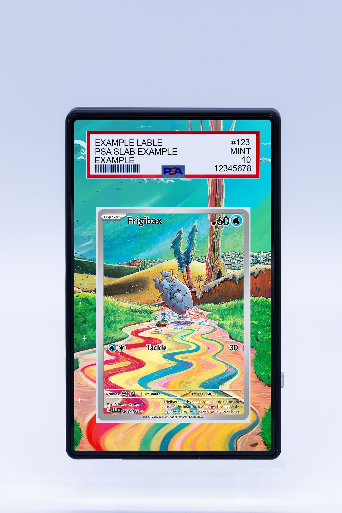 Frigibax 208 193 (Graded) Case