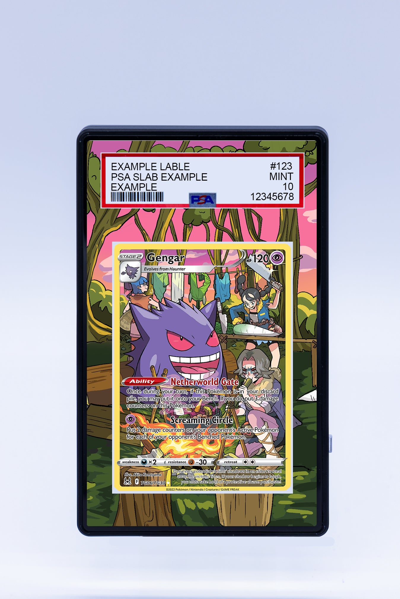 Gengar TG06 TG30 (Graded) Case Gengar TG06 TG30 (Graded) Case