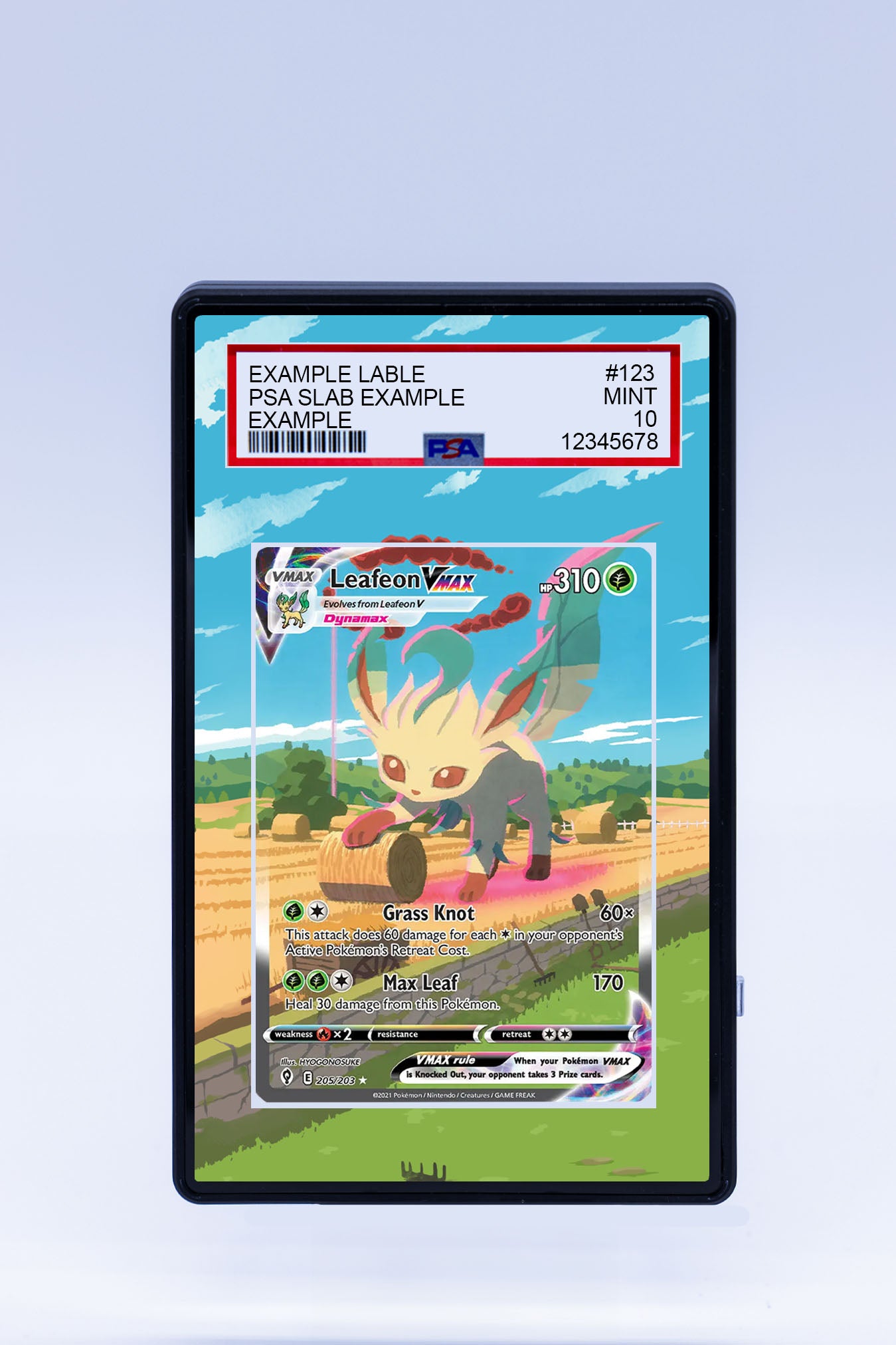 Leafeon VMAX 205/203 (Graded) Case