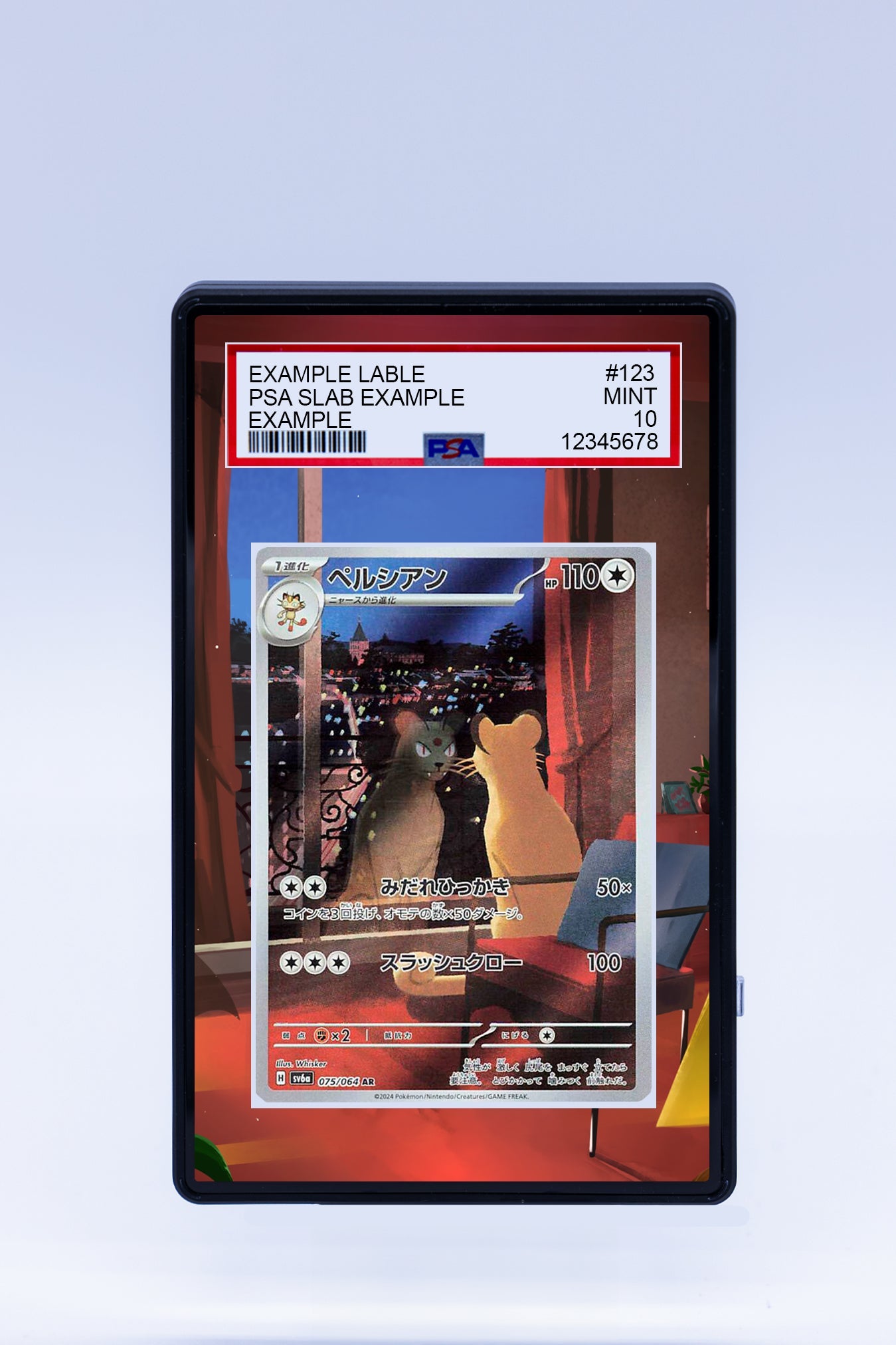 Persian 078 064 (Graded) Case