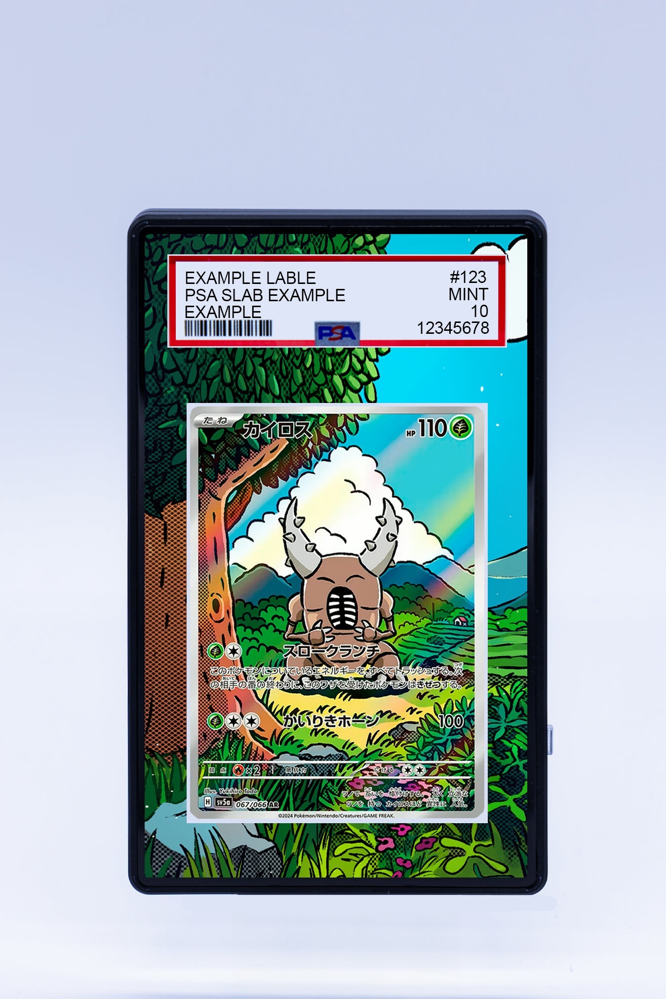 Pinsir 168 167 (Graded) Case