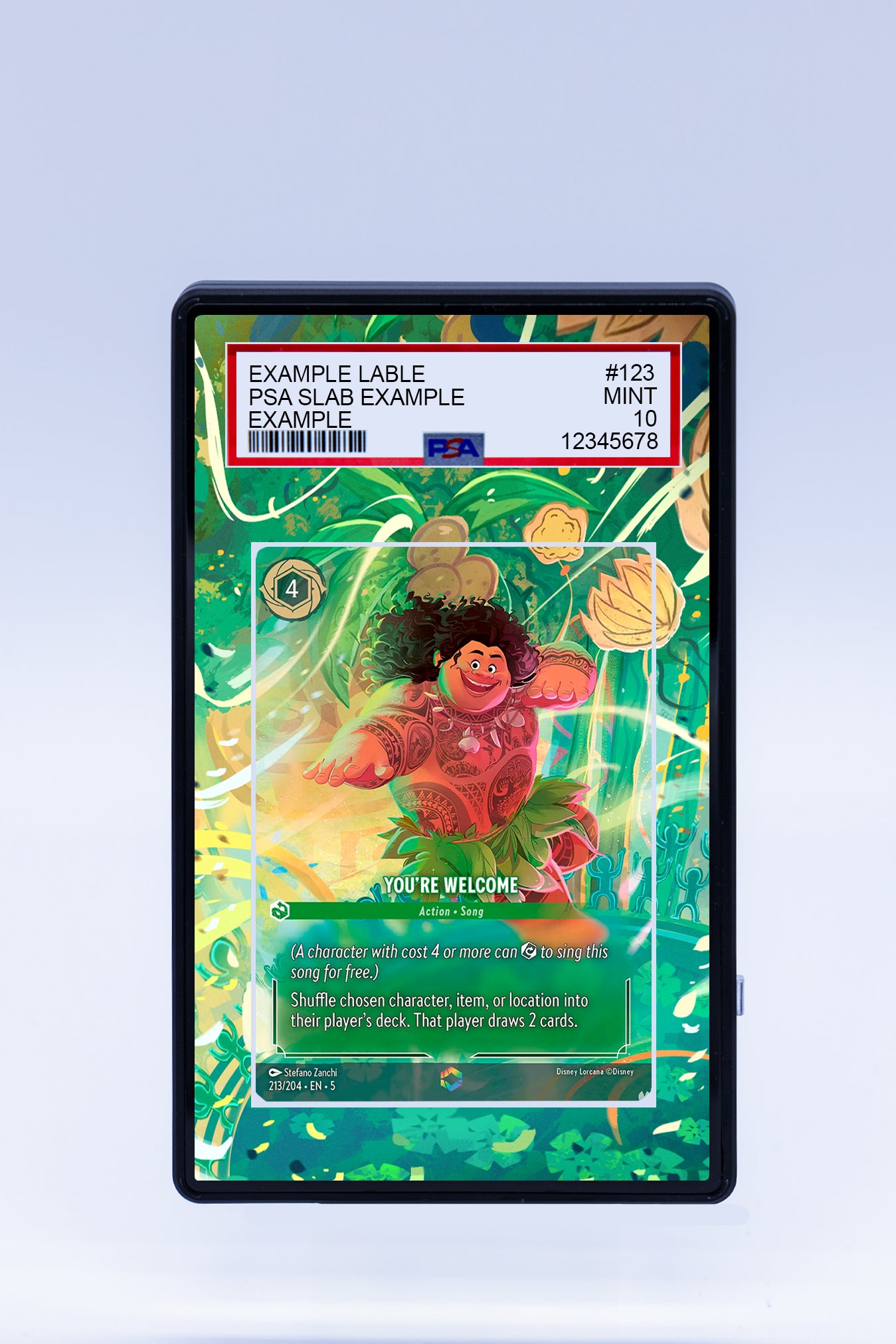 You're Welcome 213 204 (Graded) Case