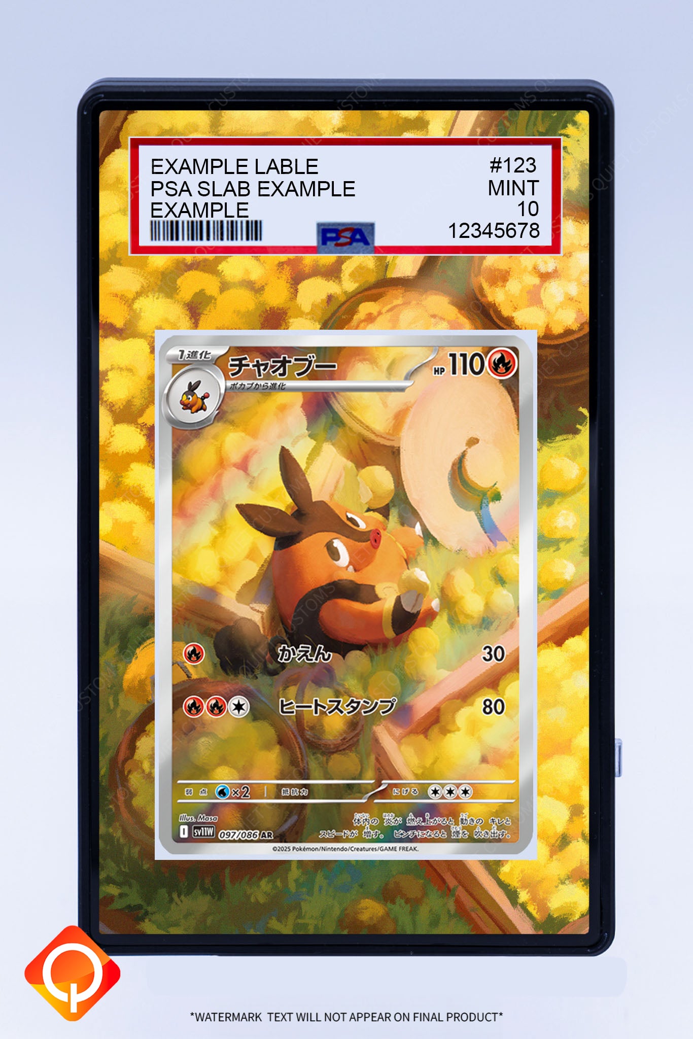 pignite pokemon card Pignite IR (Graded) Case