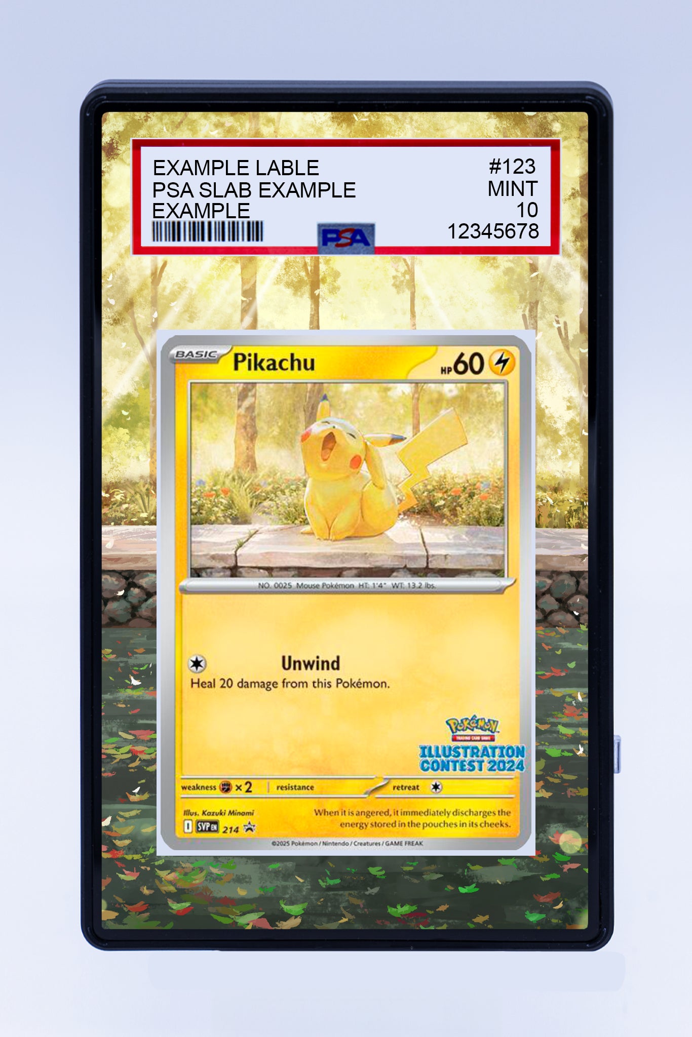 Pikachu 214 Promo (Graded) Case