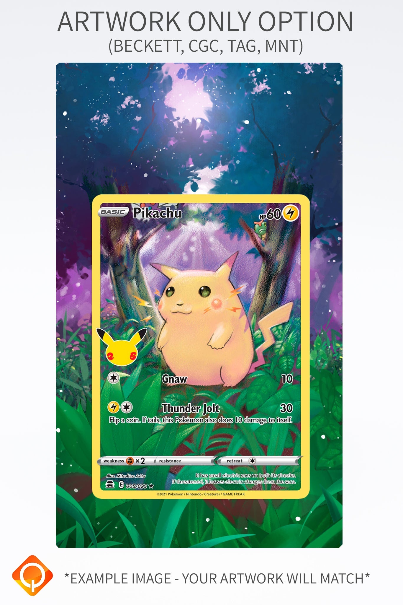 Chien-Pao EX 261 193 (Graded) Case