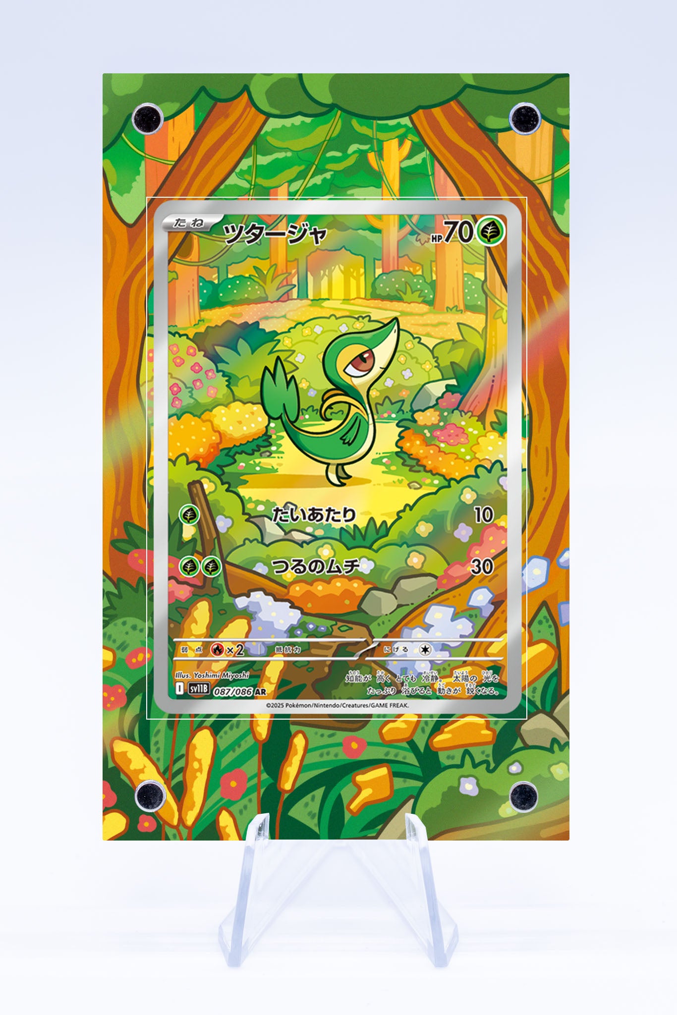 pokemon card snivy Snivy IR Case