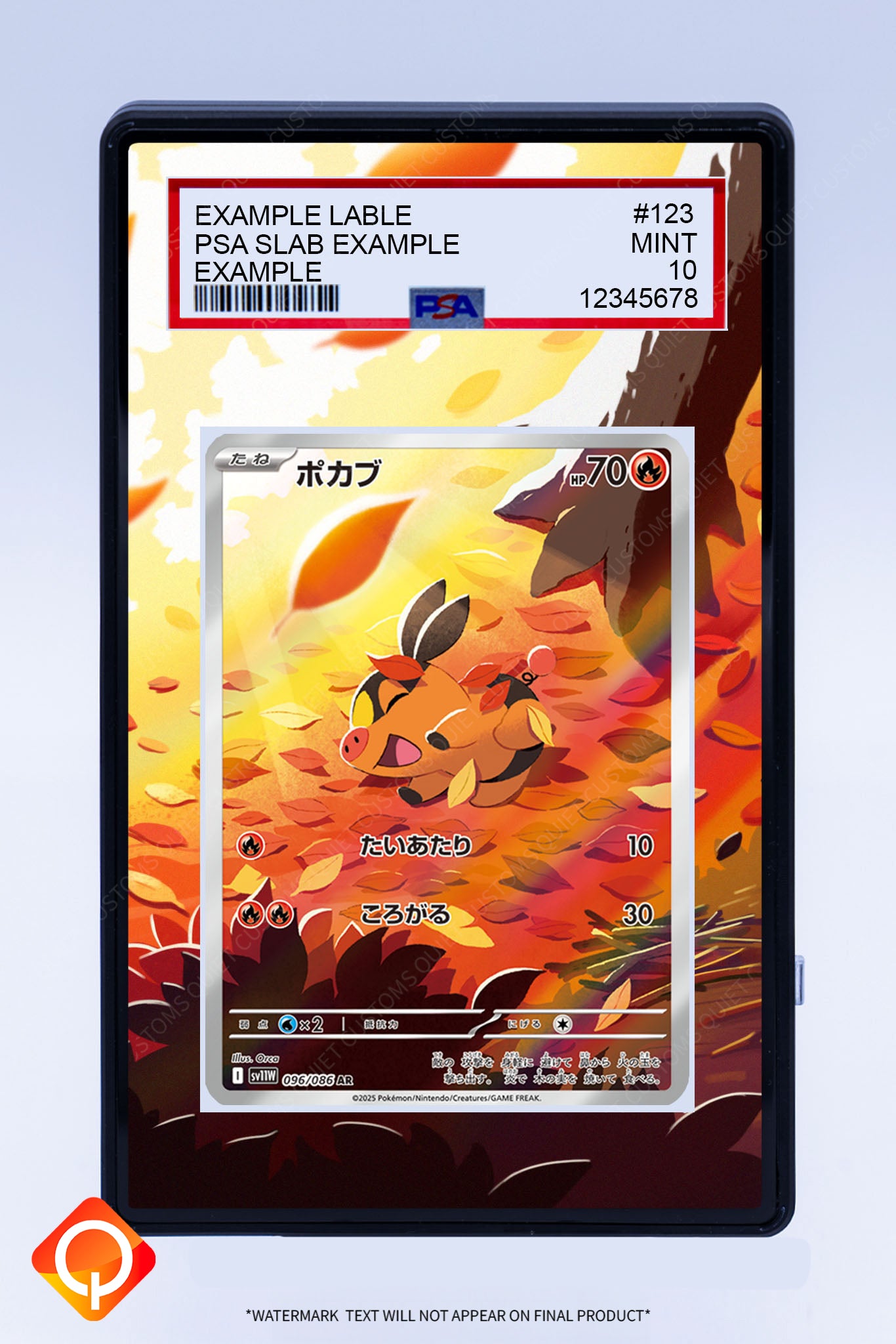 Tepig IR (Graded) Case