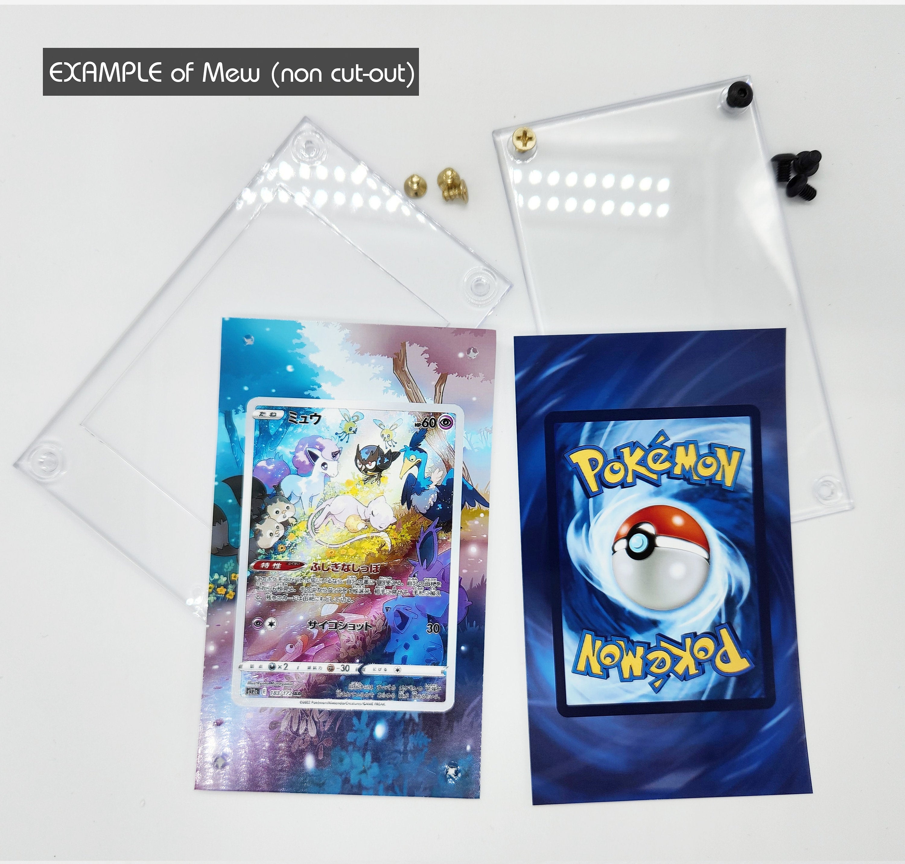 Charizard Case | All Sets | Extended Pokémon Art Hardcase Protector Display