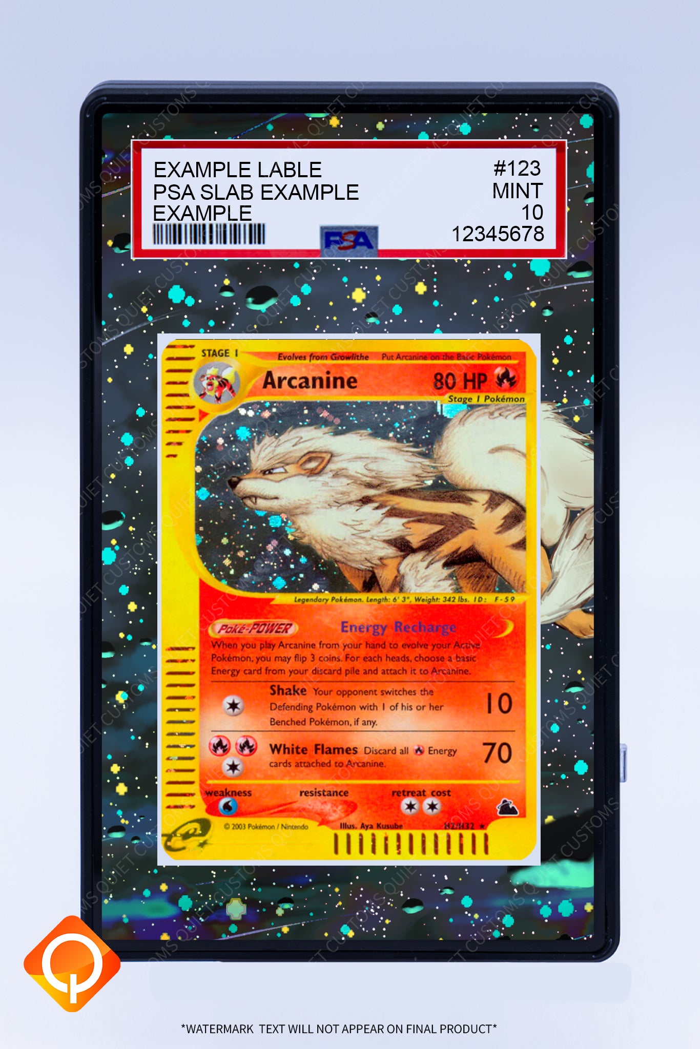 Arcanine H2 (Graded) Case