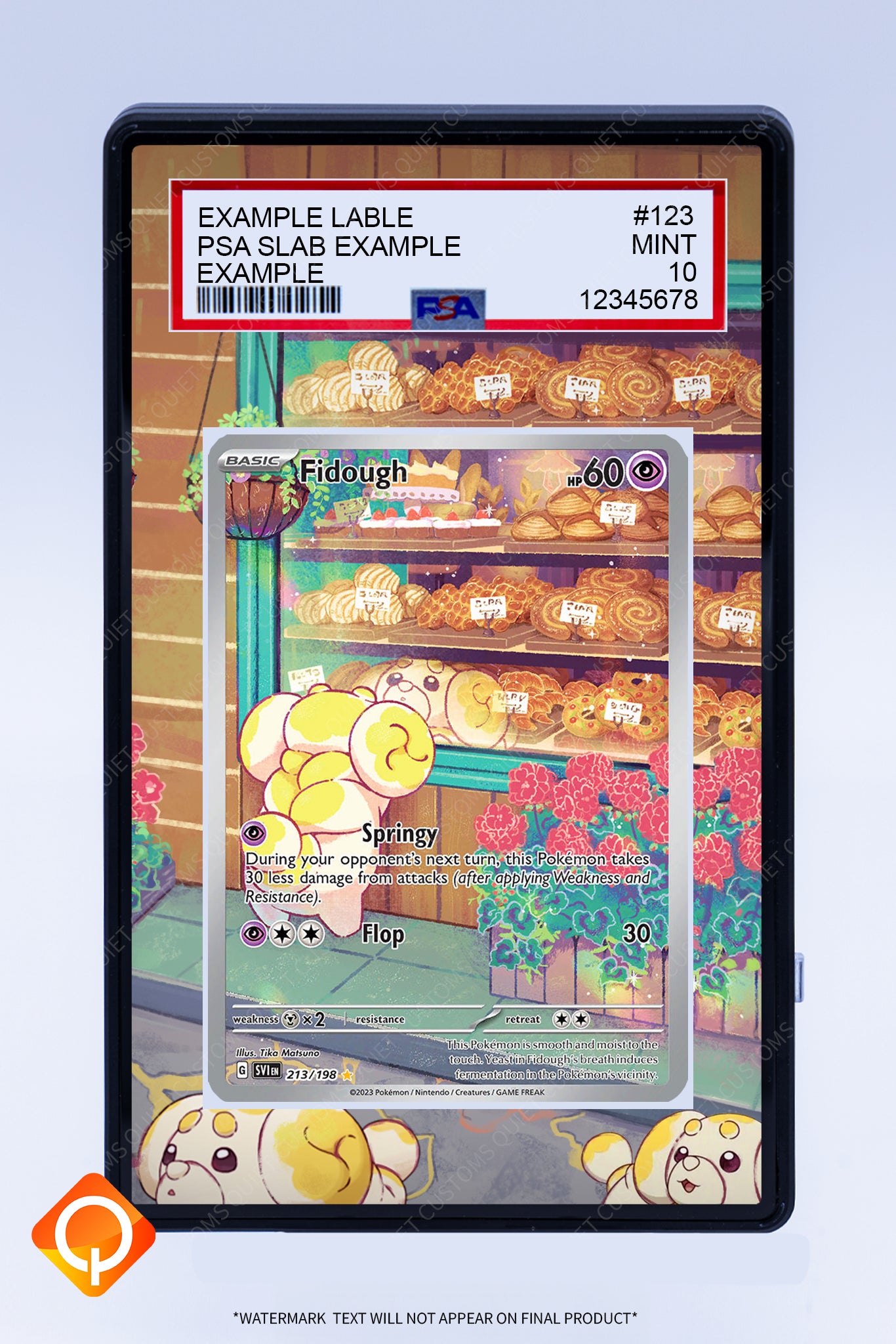 Fidough 213 198 (Graded) Case