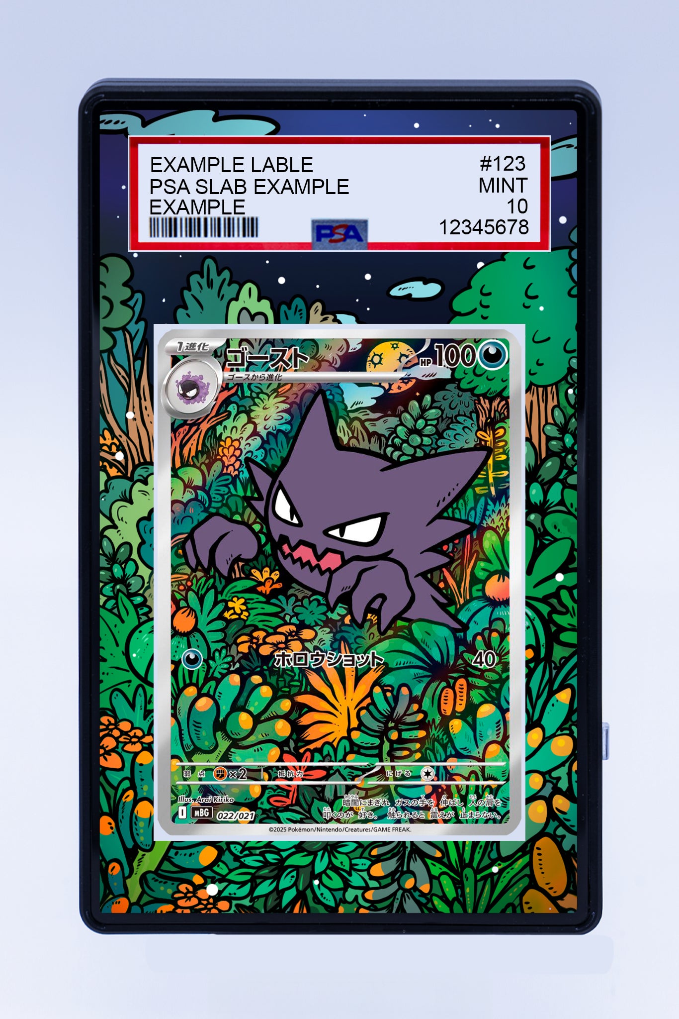 Haunter 027 Promo (Graded) Case