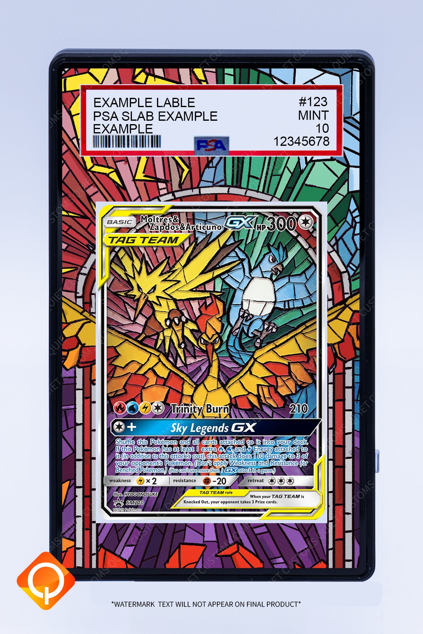 Moltres & Zapdos & Articuno GX (Graded) Case