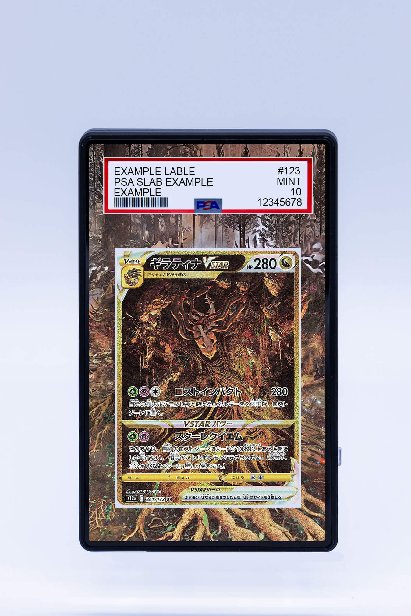 Giratina VSTAR GG69/GG70 (Graded) Case