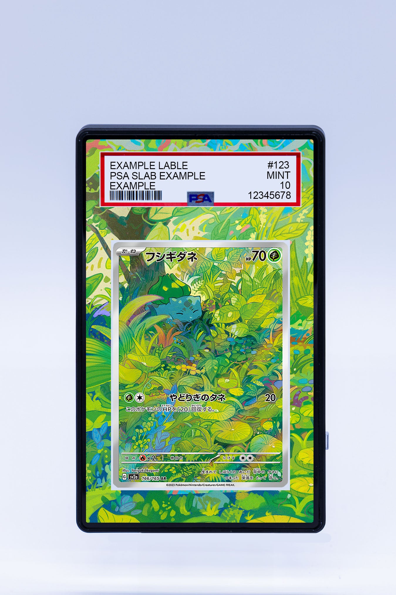 Bulbasaur 166/165 (Graded) Case