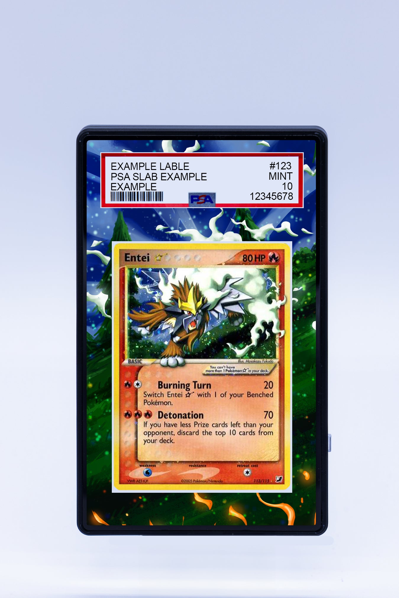 Entei 113 115 (Graded) Case