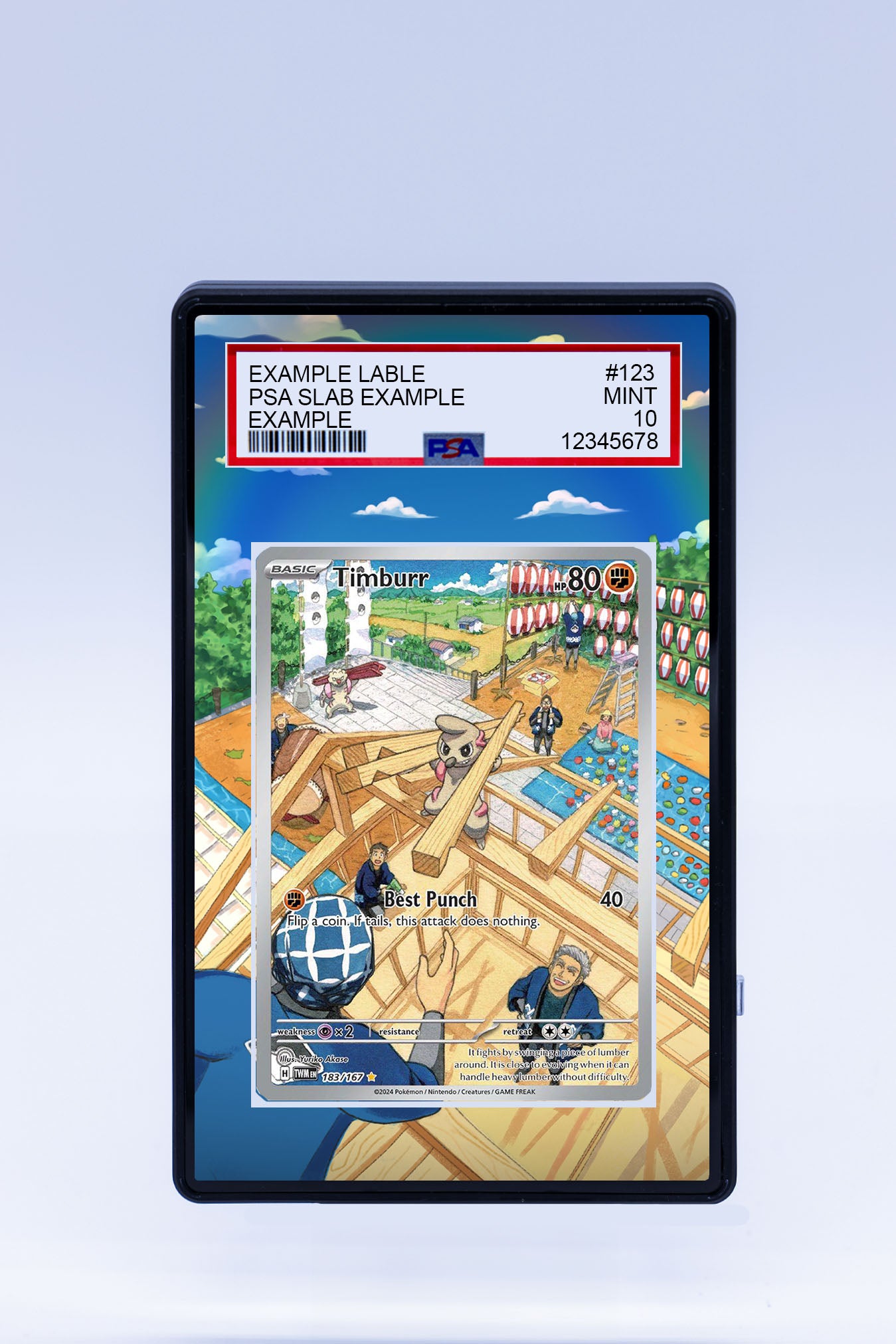 Timburr 183 167 (Graded) Case