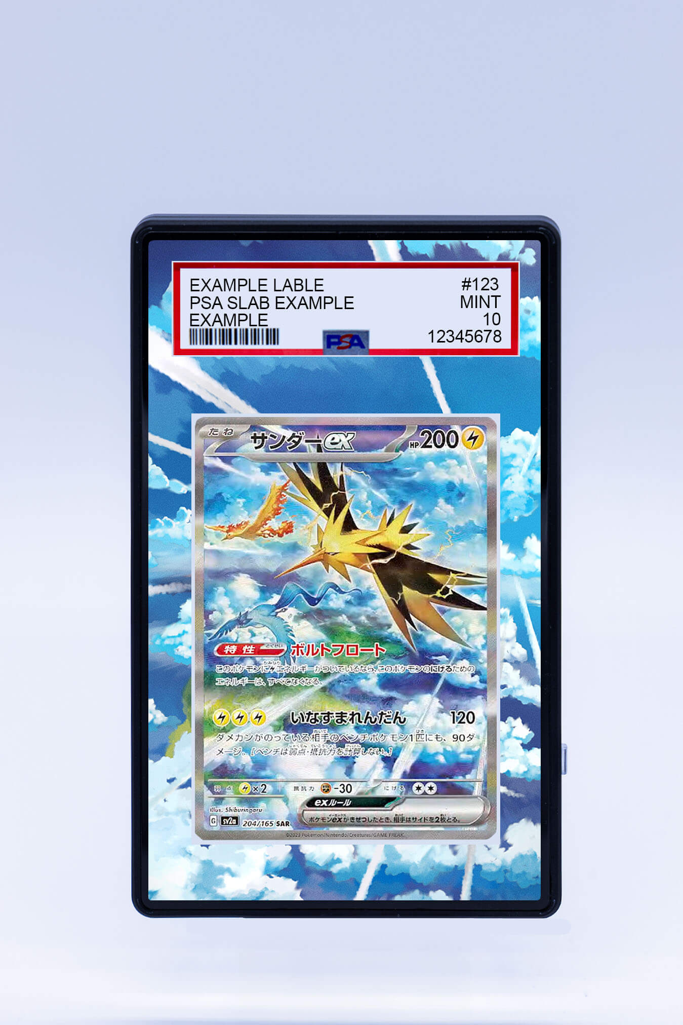 Zapdos EX 202/165 (Graded) Case