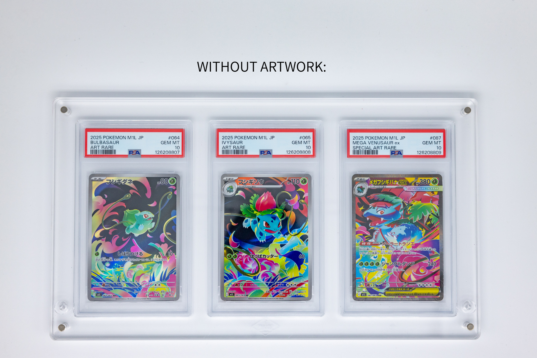 Bulbasaur Charmander Squirtle First Partner | TRIPLE Graded Case