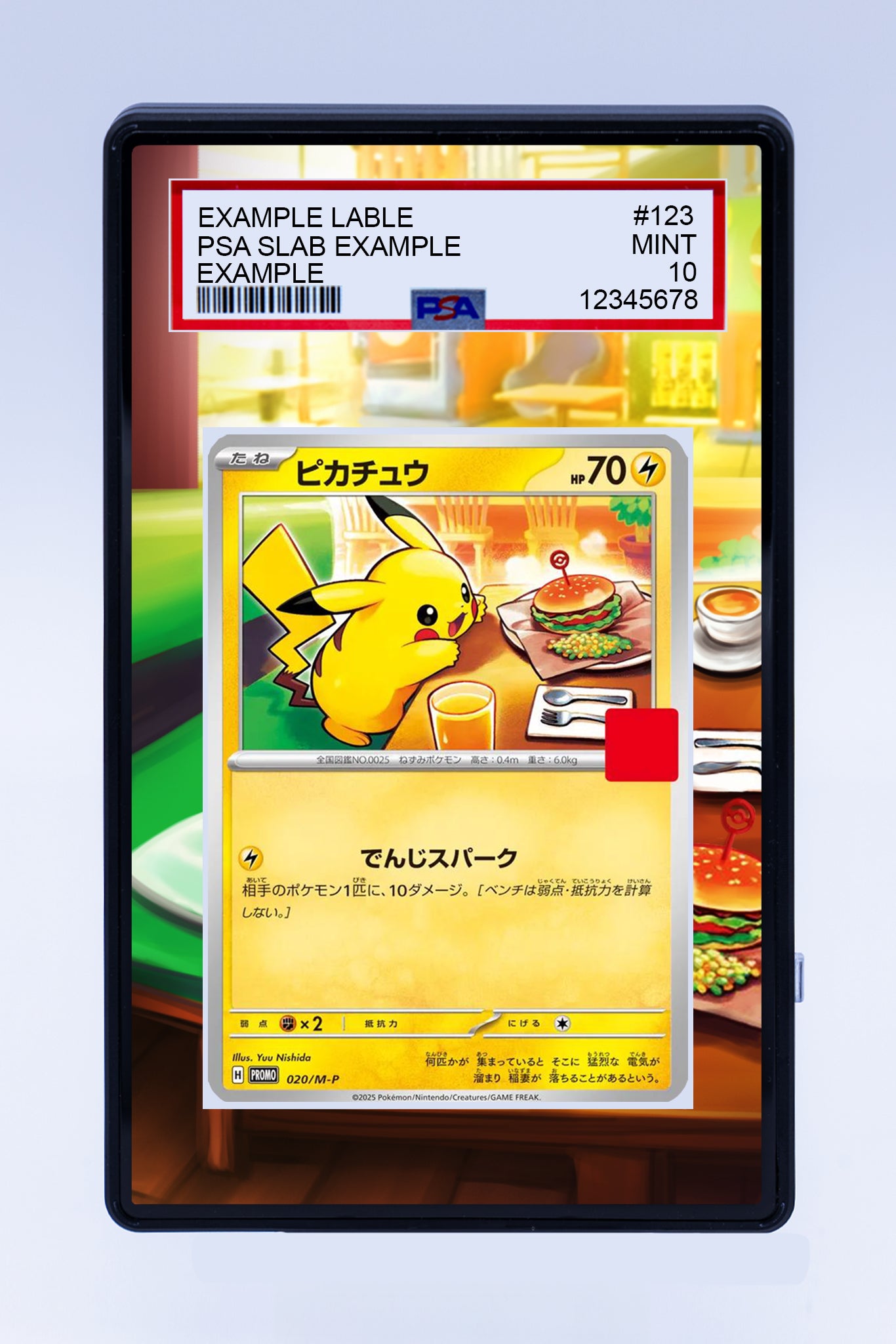 Pikachu 020 M-P Promo (Graded) Case