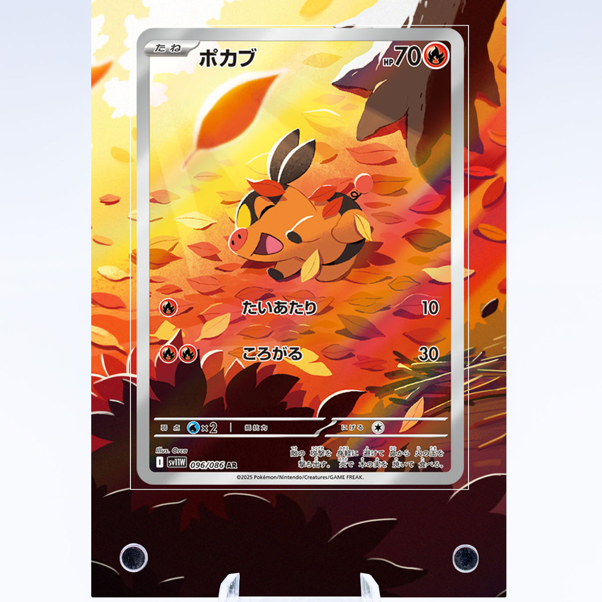 Tepig IR Case