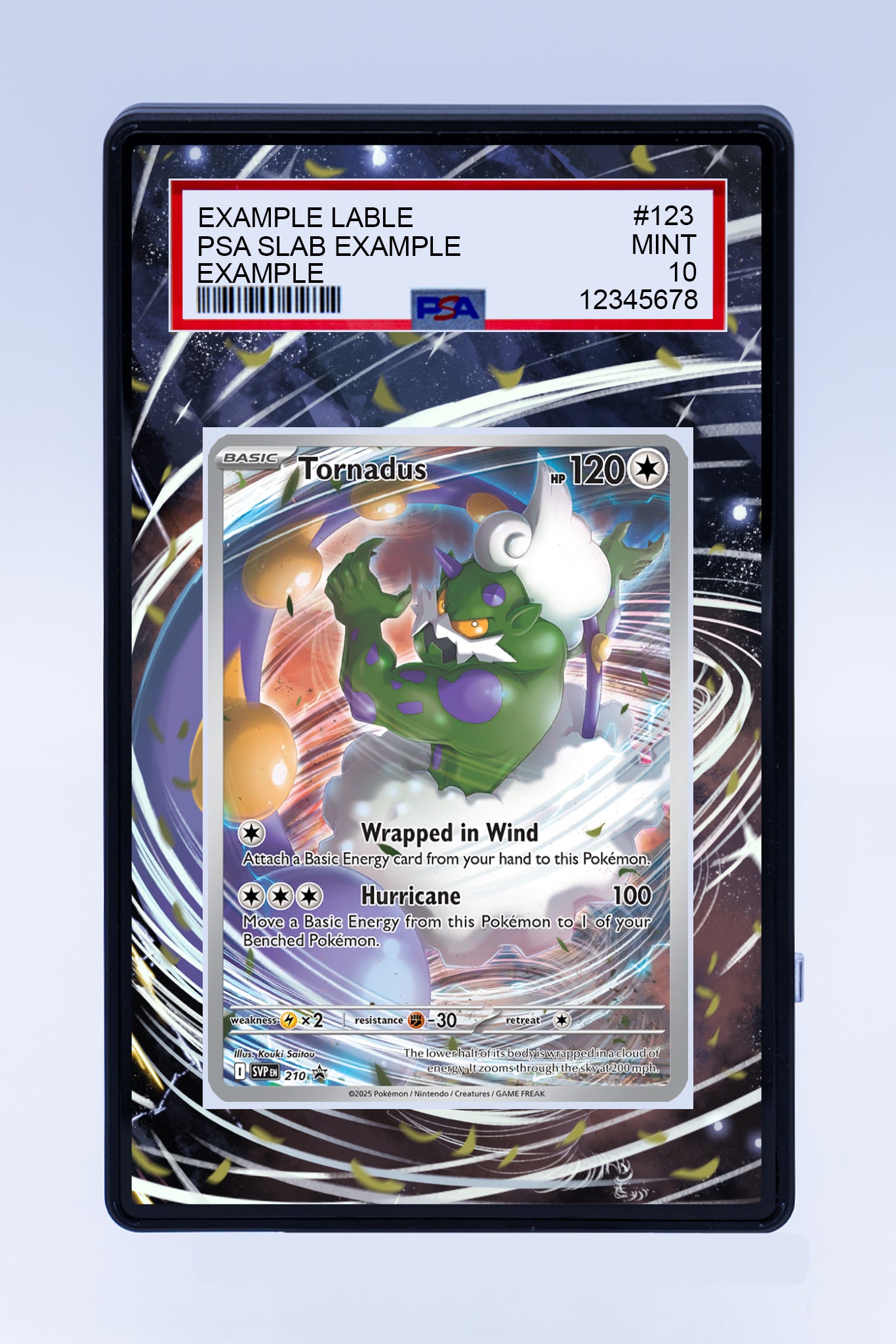 Tornadus 210 Promo (Graded) Case